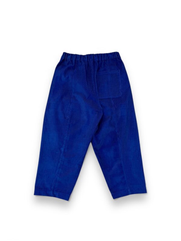 Loose Pants Blue Corduroy