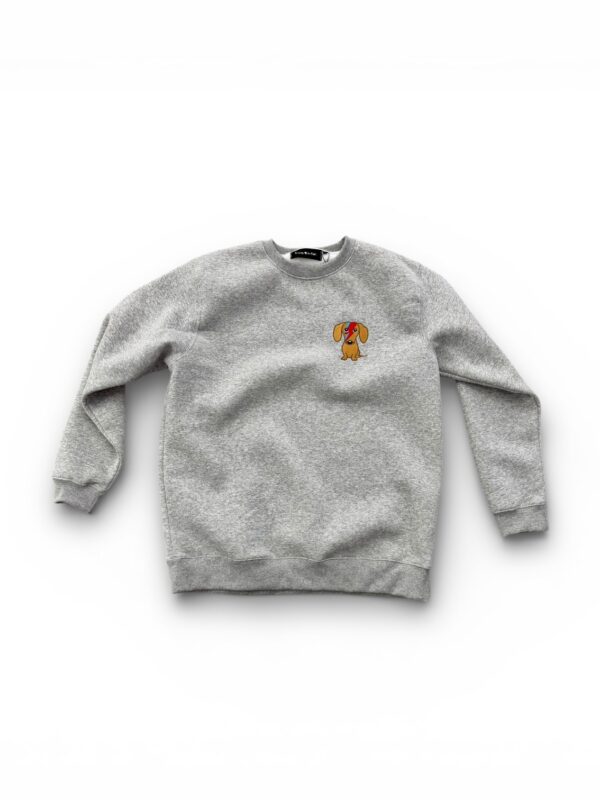 Zinovia Stardust Grey Sweatshirt