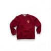 Zinovia Stardust Burgundy Sweatshirt