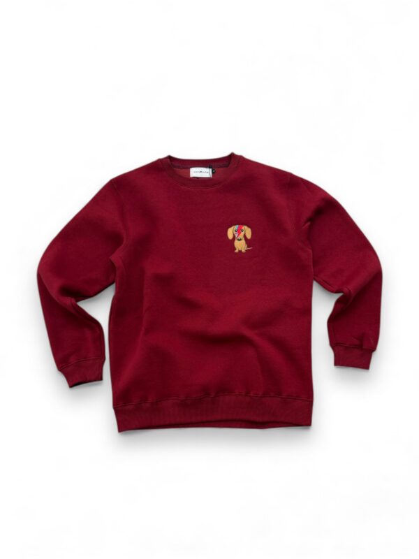 Zinovia Stardust Burgundy Sweatshirt
