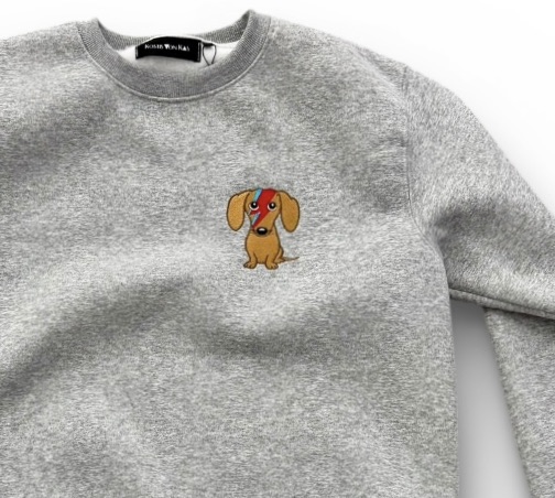 Zinovia Stardust Grey Sweatshirt